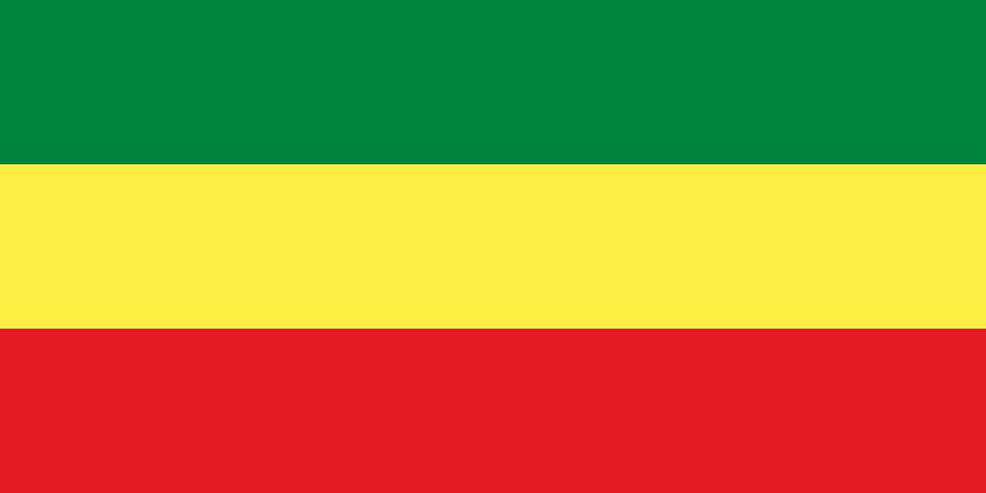 The Ethiopian Transitional Government Flag, 1991 – 1996