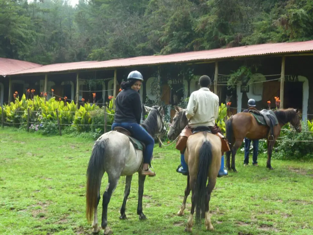 Image: Entoto Horseback riding