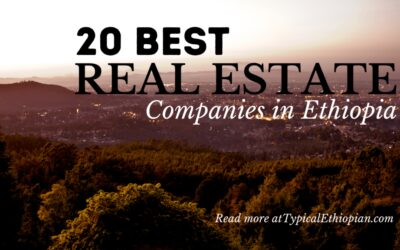 20 Real Estates in Ethiopia | Review & Contact Info