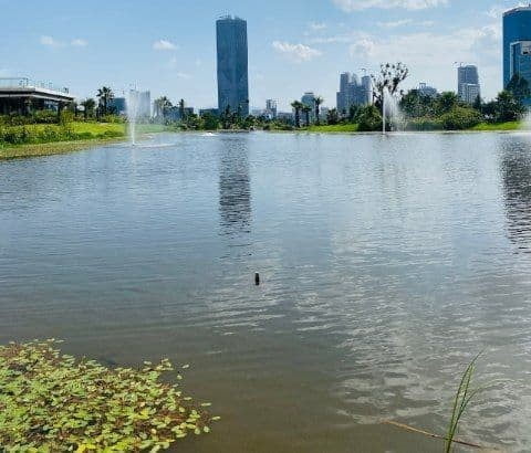 Friendship Park artificial lake