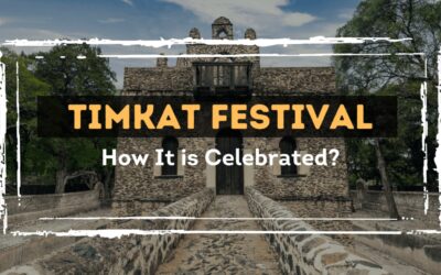 Timkat Festival | How It is Celebrated?