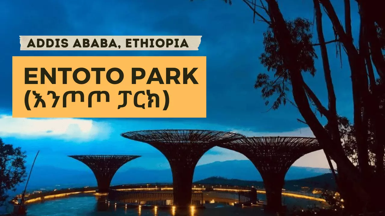 Entoto Park (እንጦጦ ፓርክ) Addis Ababa, Ethiopia