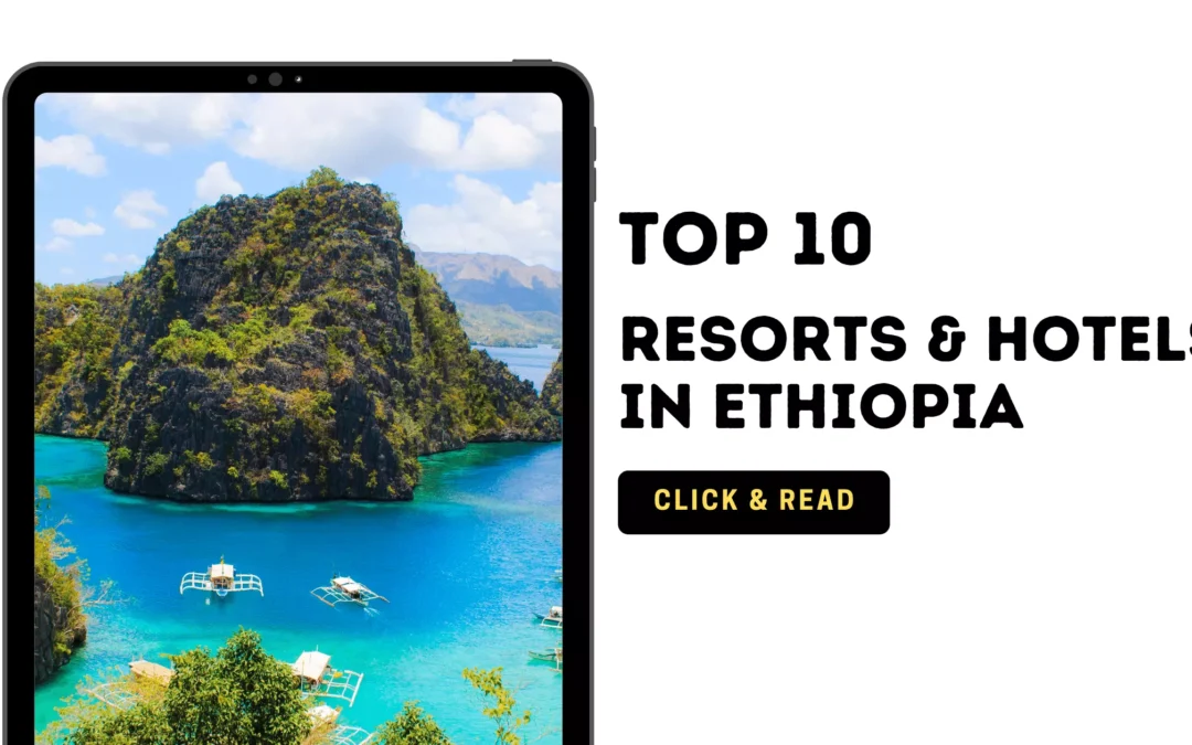 Top 10 Best Resorts & Hotels in Ethiopia