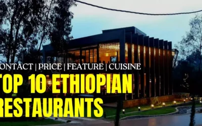 Top 10 Restaurants in Ethiopia (2022) | Contact, Price, Feature, & Cuisine