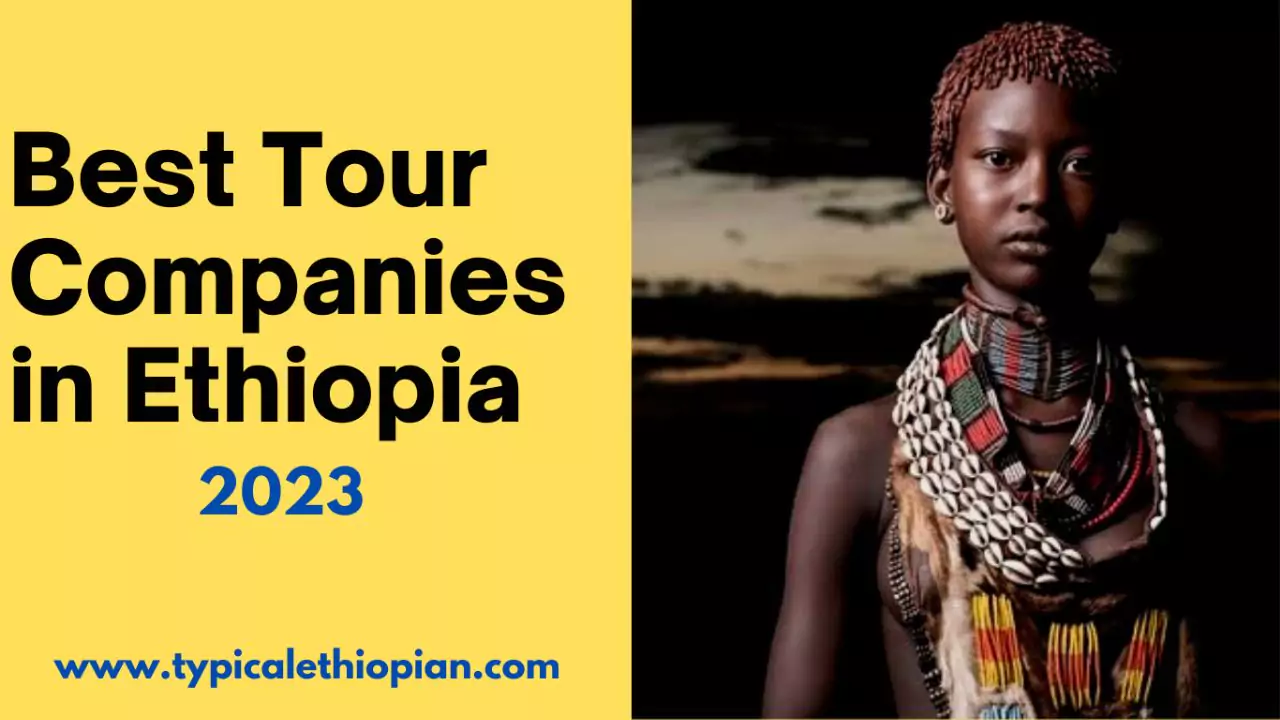 Best Tour Companies in Ethiopia