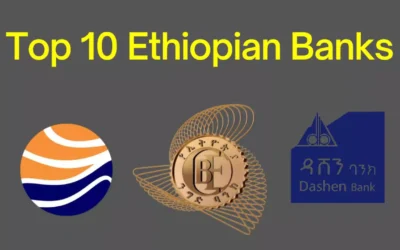 Top 10 Banks in Ethiopia