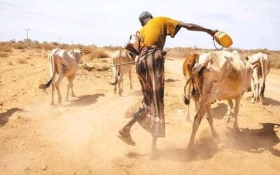 A call was made to support those affected by the drought in the Somali region.
