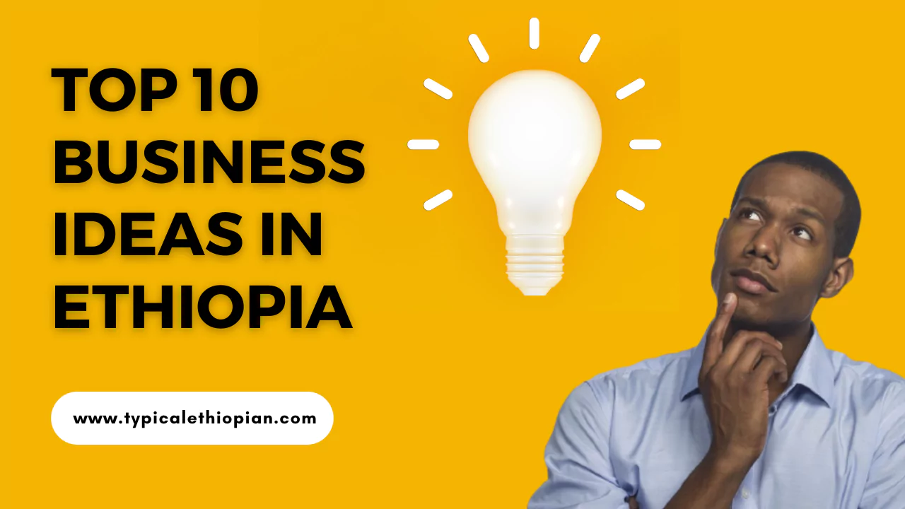 top 10 profitable business ideas in ethiopia